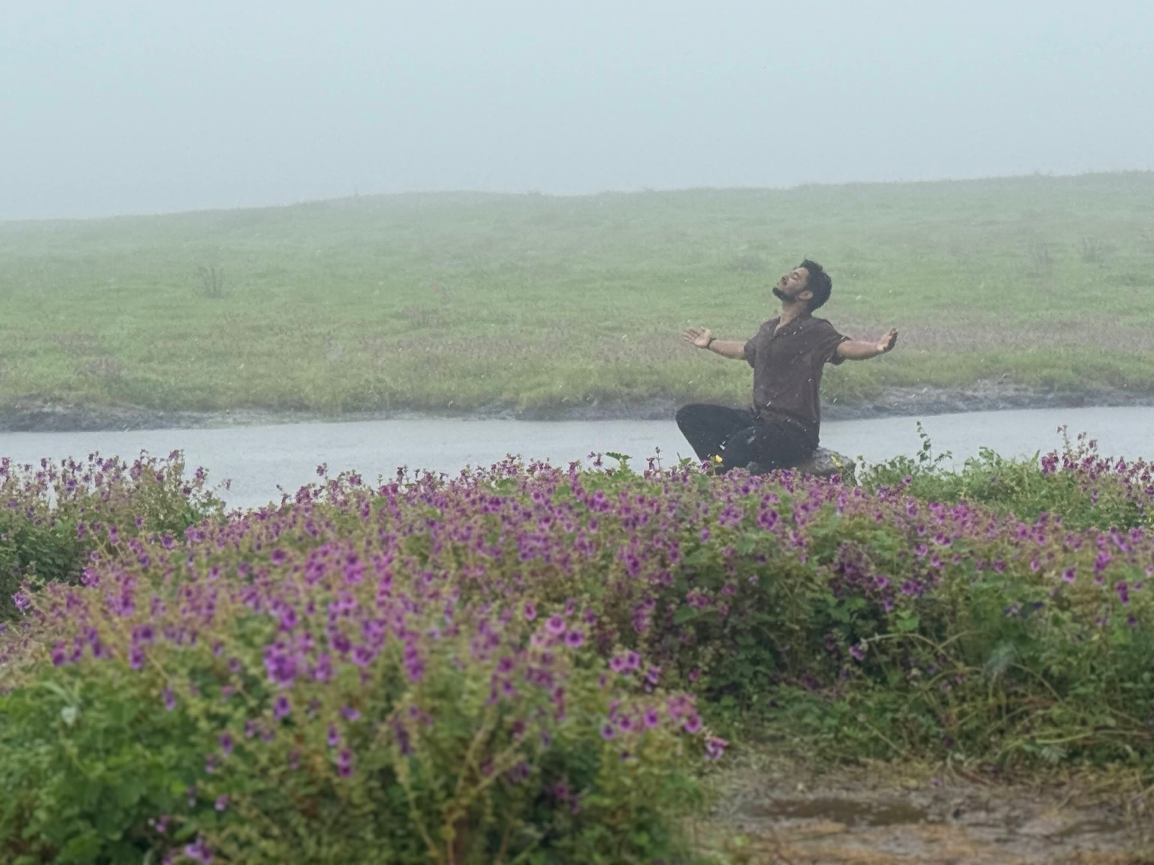 Akshay Agrawal in a misty field of purple flowers